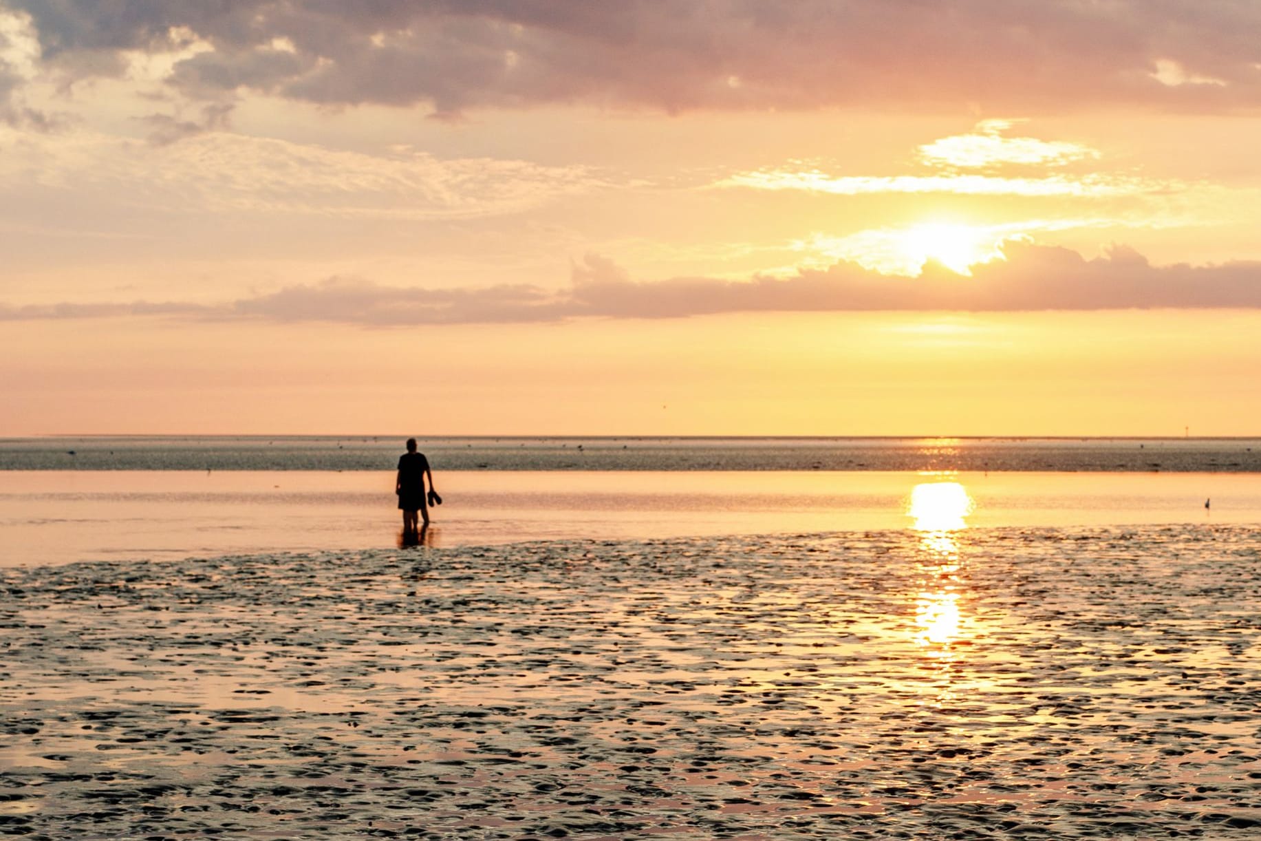 Eine Person steht im Wattenmeer (Symbolbild): Die Frau war alleine auf eine Wattwanderung gegangen.