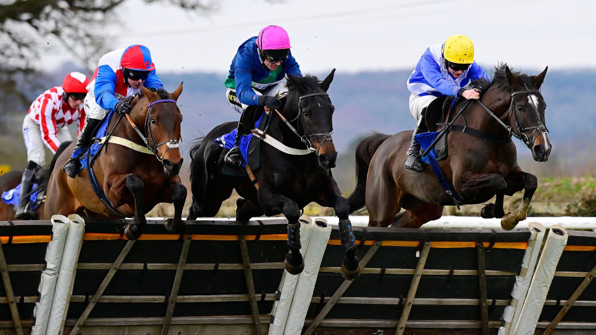 Jockeys bei einem Pferderennen (Symbolbild): In England gab es nun einen schweren Unfall.