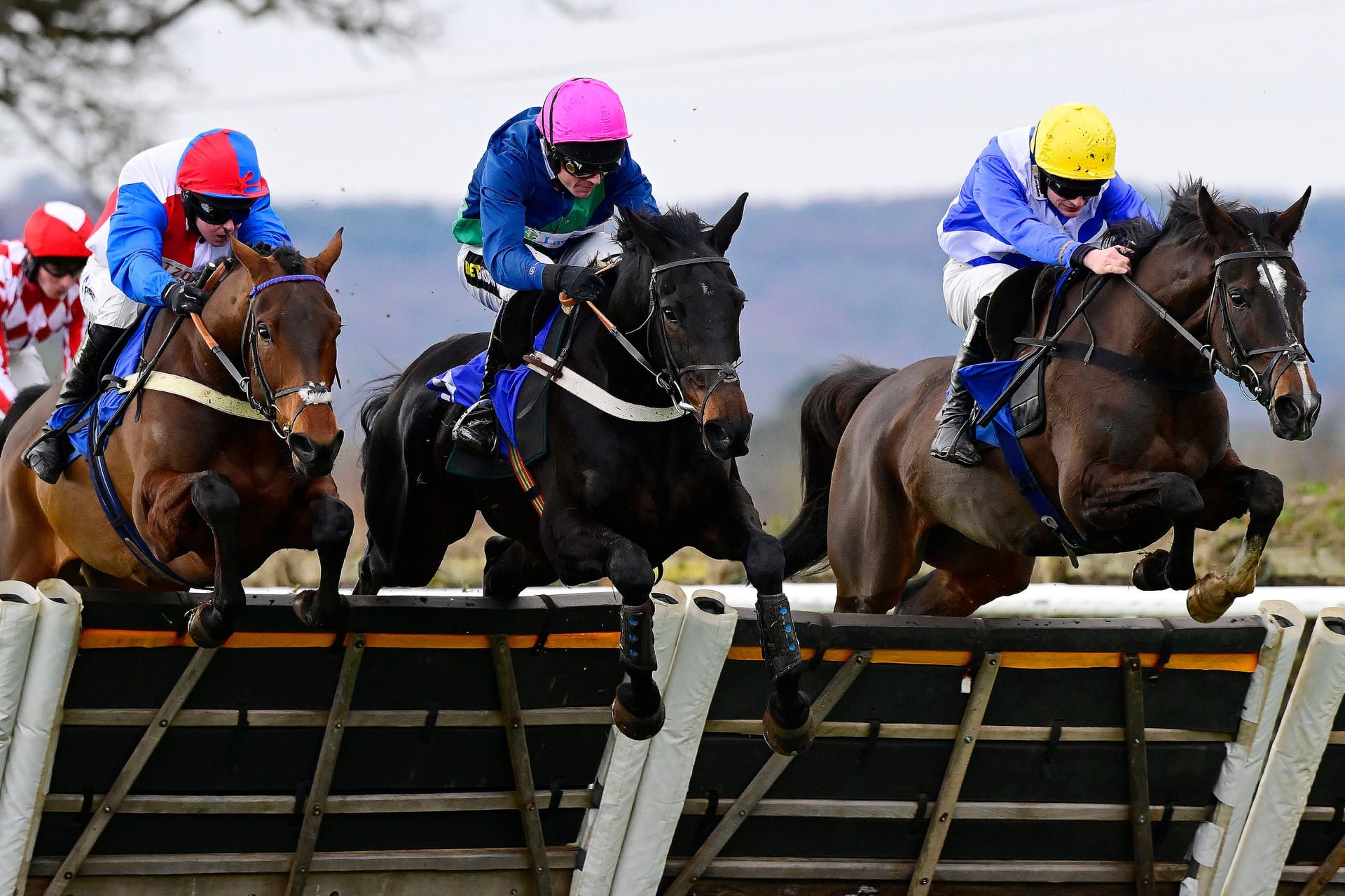 Jockeys bei einem Pferderennen (Symbolbild): In England gab es nun einen schweren Unfall.