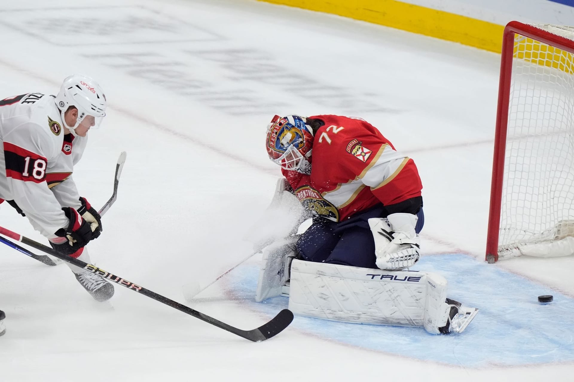 Florida Panthers - Ottawa Senators