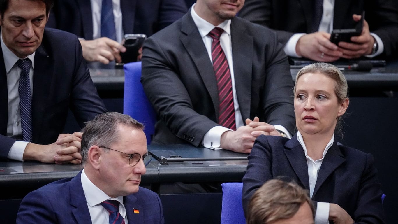AfD-Fraktionsvorsitzende im Bundestag
