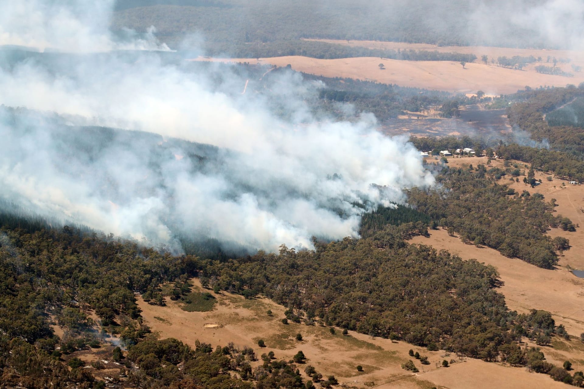 Buschbrände in Australien