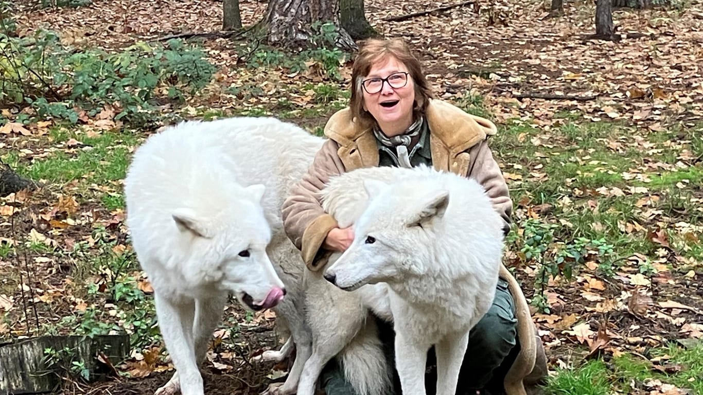 Tundrawolf Aslan in Wildpark Fasanerie gestorben