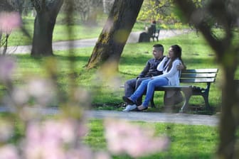 Junges Paar auf einer Parkbank in Hannover (Archivbild): Hannover ist bei Singles offenbar sehr beliebt.