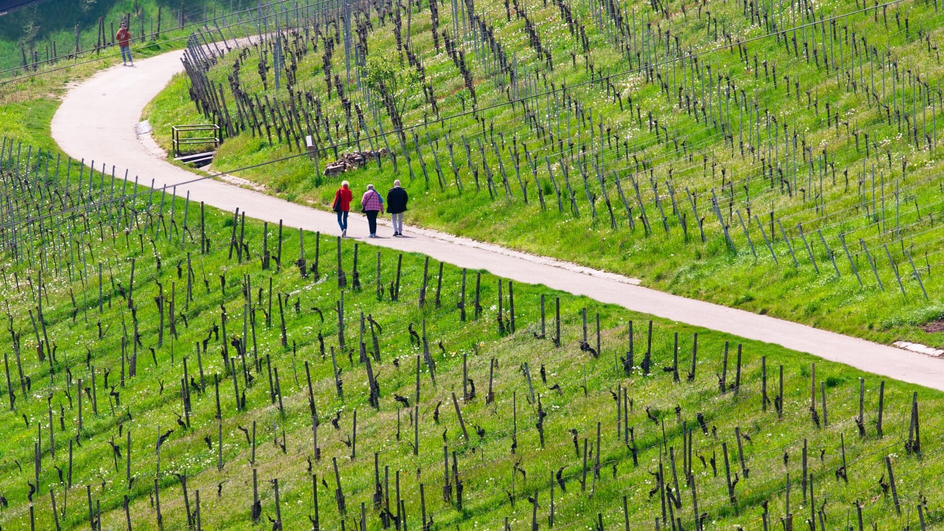 Schönes Wetter Schönes Wetter