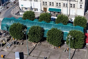 Die Pavillons am Hamburger Rathaus (Archivfoto): Sprinkenhof will die sanierten Läden neu vermieten.