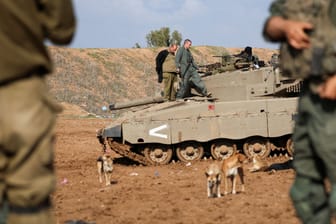 Israelische Soldaten in Gaza und vor ihnen streunende Hunde (Archivbild): Israelische Behörden warnen davor, Haustiere aus Gaza aufzunehmen.