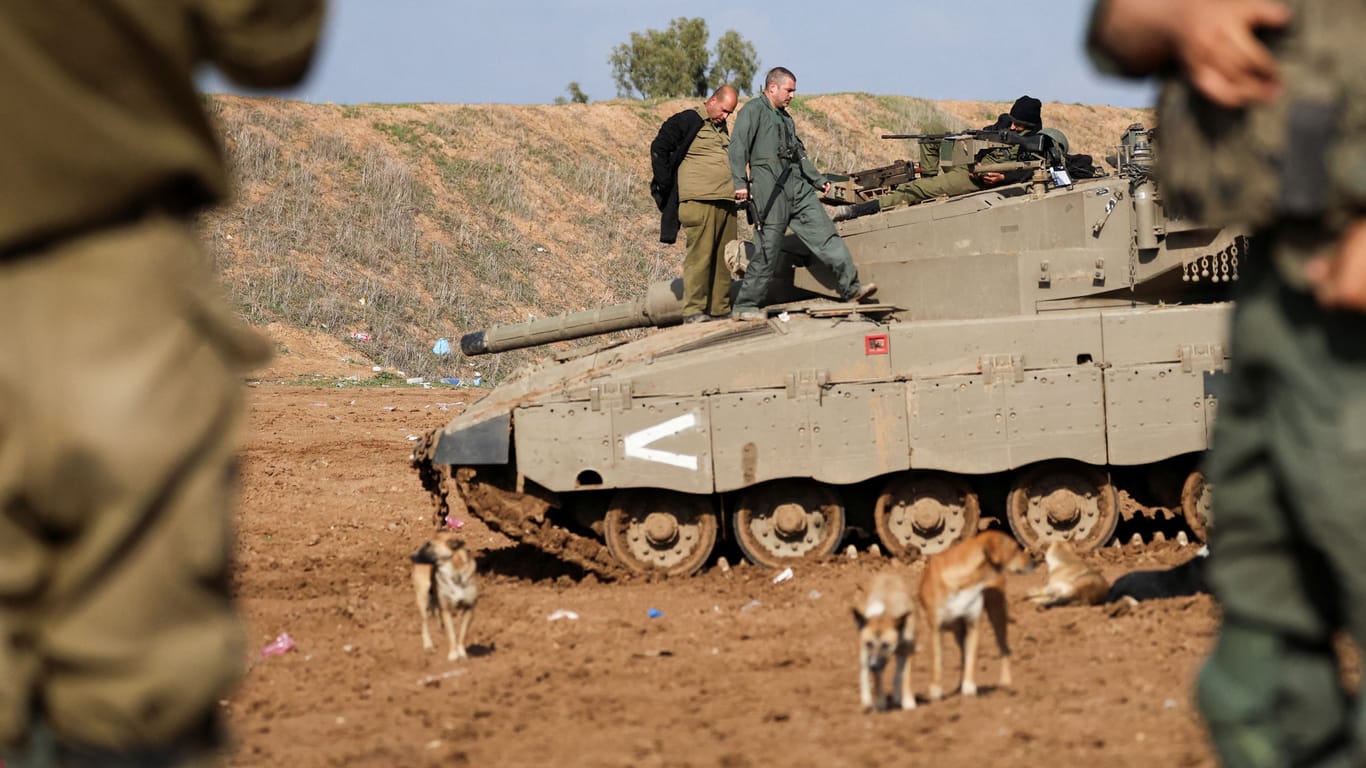Israelische Soldaten in Gaza und vor ihnen streunende Hunde (Archivbild): Israelische Behörden warnen davor, Haustiere aus Gaza aufzunehmen.