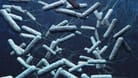 Cholera: Die Bakterien produzieren im Darm der Infizierten Giftstoffe.