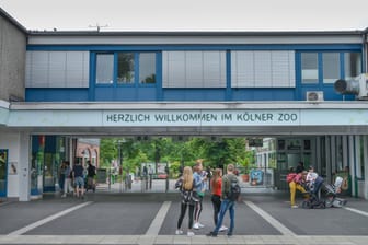 Der Kölner Zoo in Riehl (Archivbild): Er muss für unbestimmte Zeit schließen.