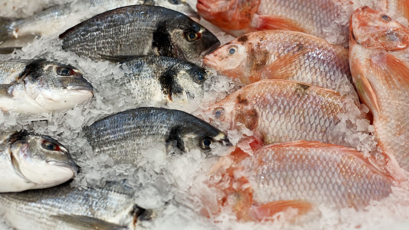 The fish is frozen in the shop window in icy pieces.