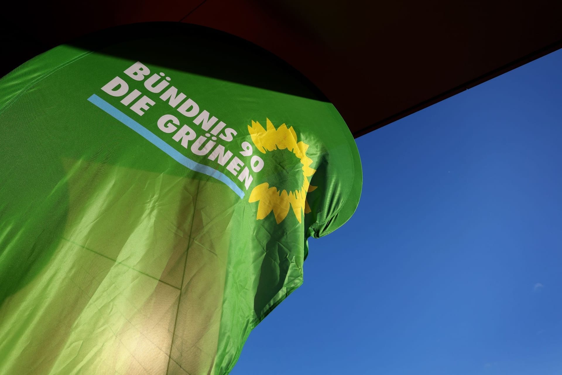 Grüne