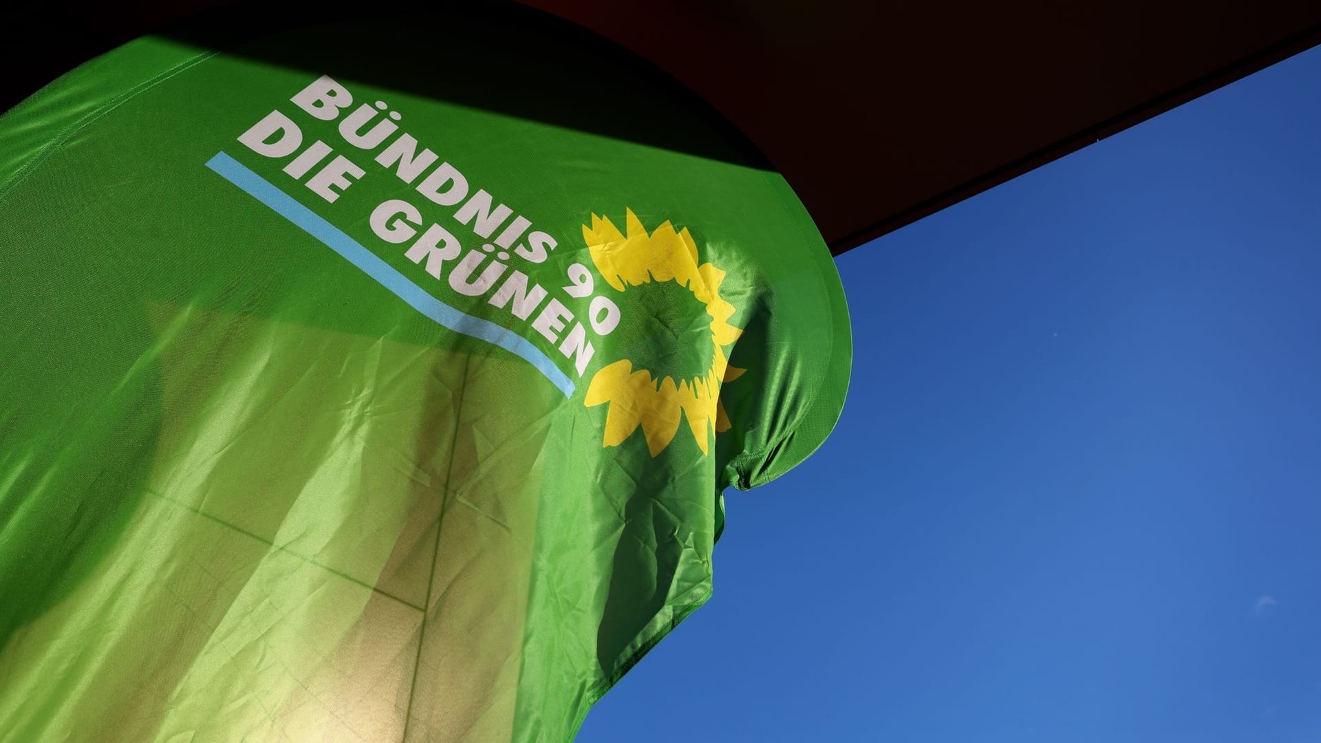 Grüne Grüne