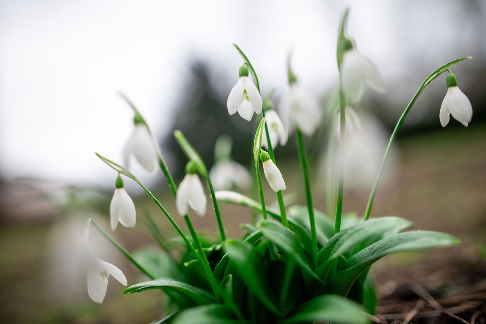 Frühlingshafte Temperaturen