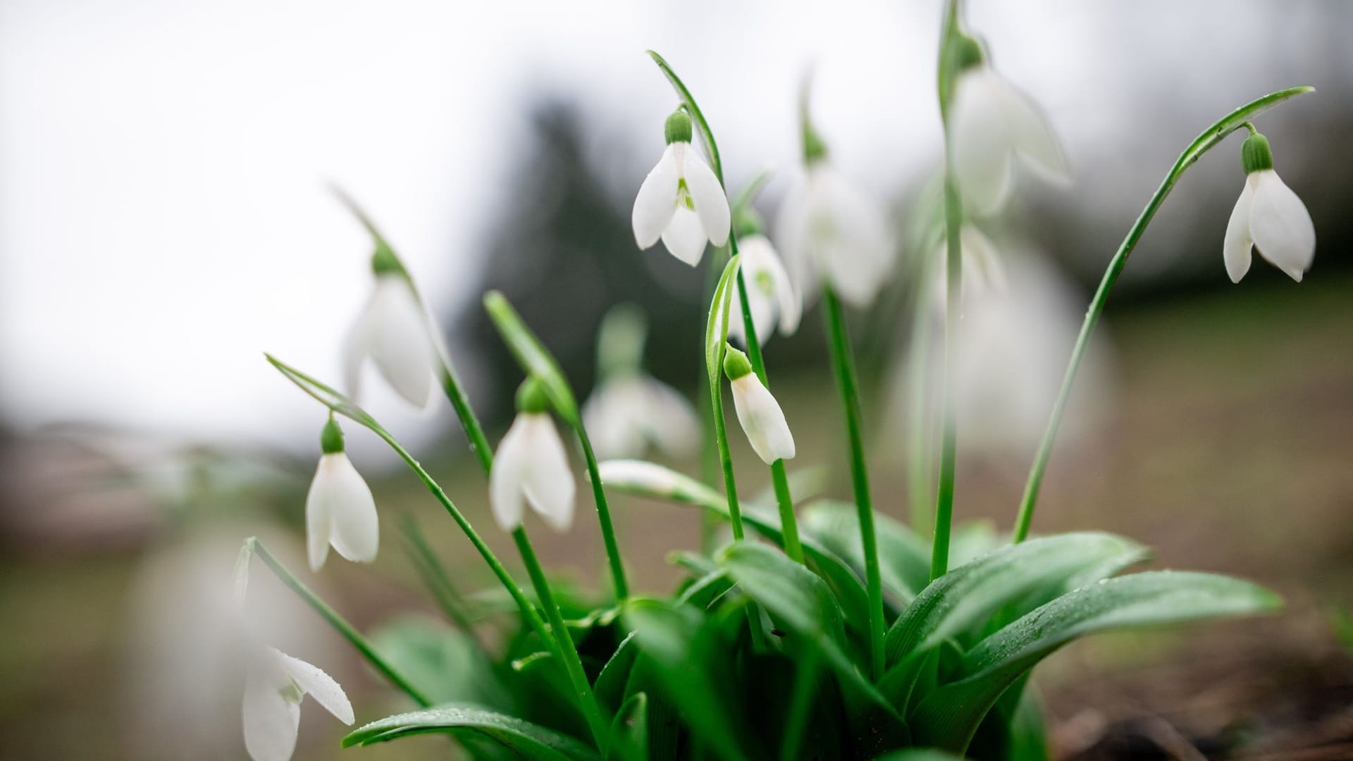 Frühlingshafte Temperaturen