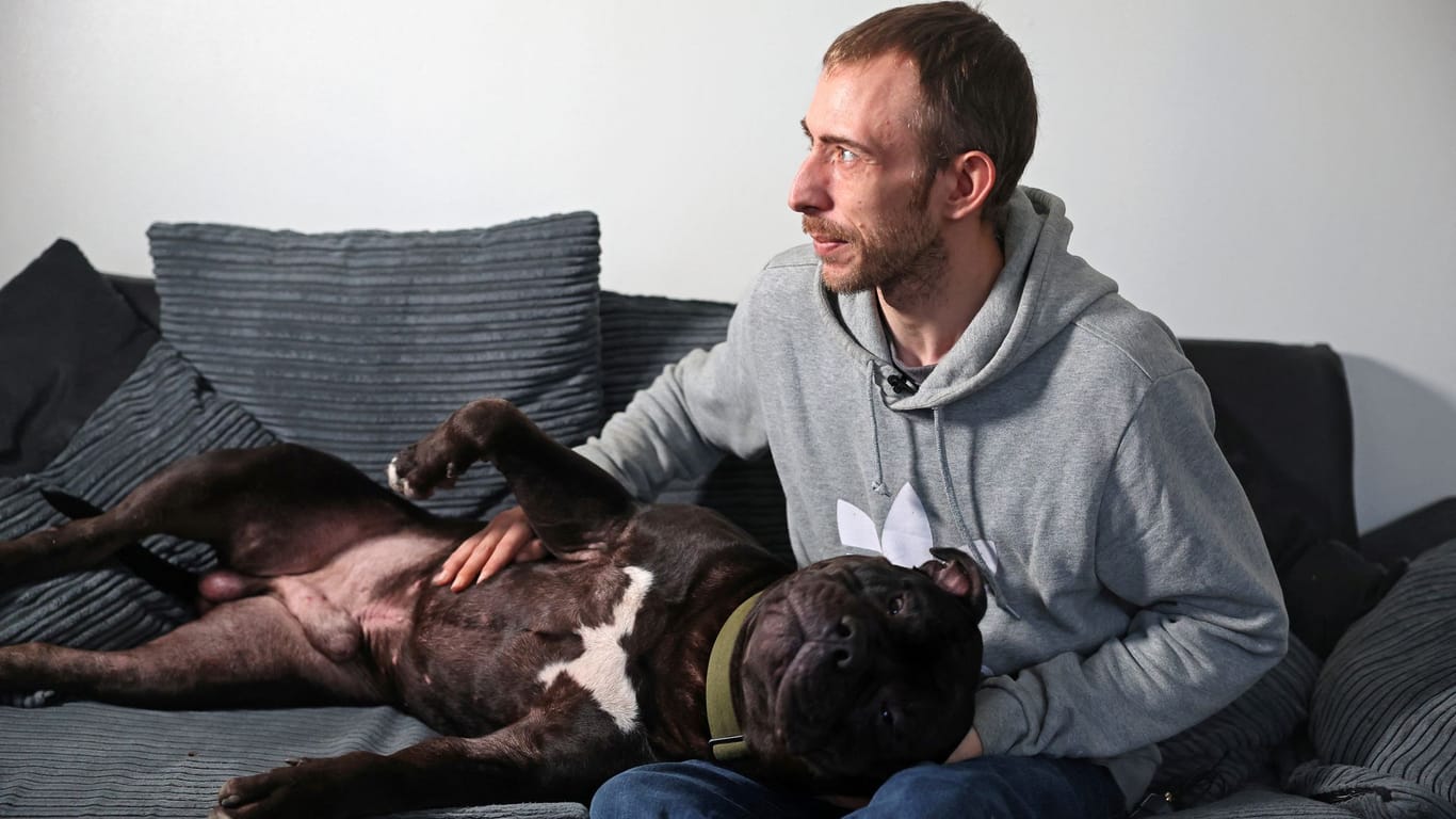 XL Bully "Duke" mit seinem Halter Terry Wigzell: Dieser will einen Ausnahmeantrag für seinen Hund stellen.