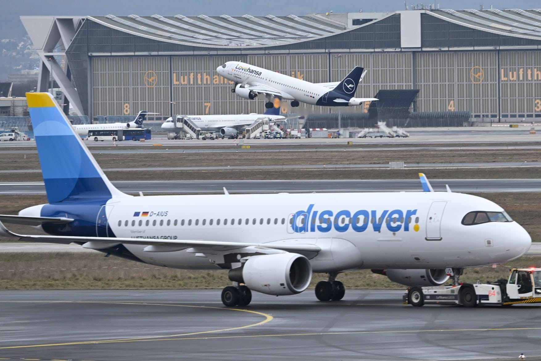 Discover