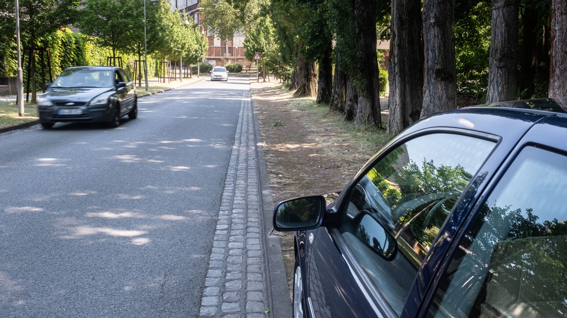 Grünstreifen: Wenn Schilder es anzeigen, kann er als Seitenstreifen gelten. Dann dürfen Sie dort parken.