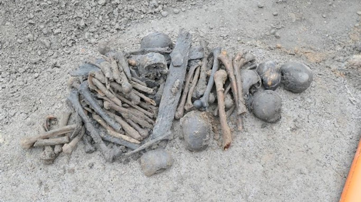 Bei Erdarbeiten nach dem Abriss eines Hauses sind in Lippetal mehrere Schädel und eine Vielzahl von Knochen gefunden worden.