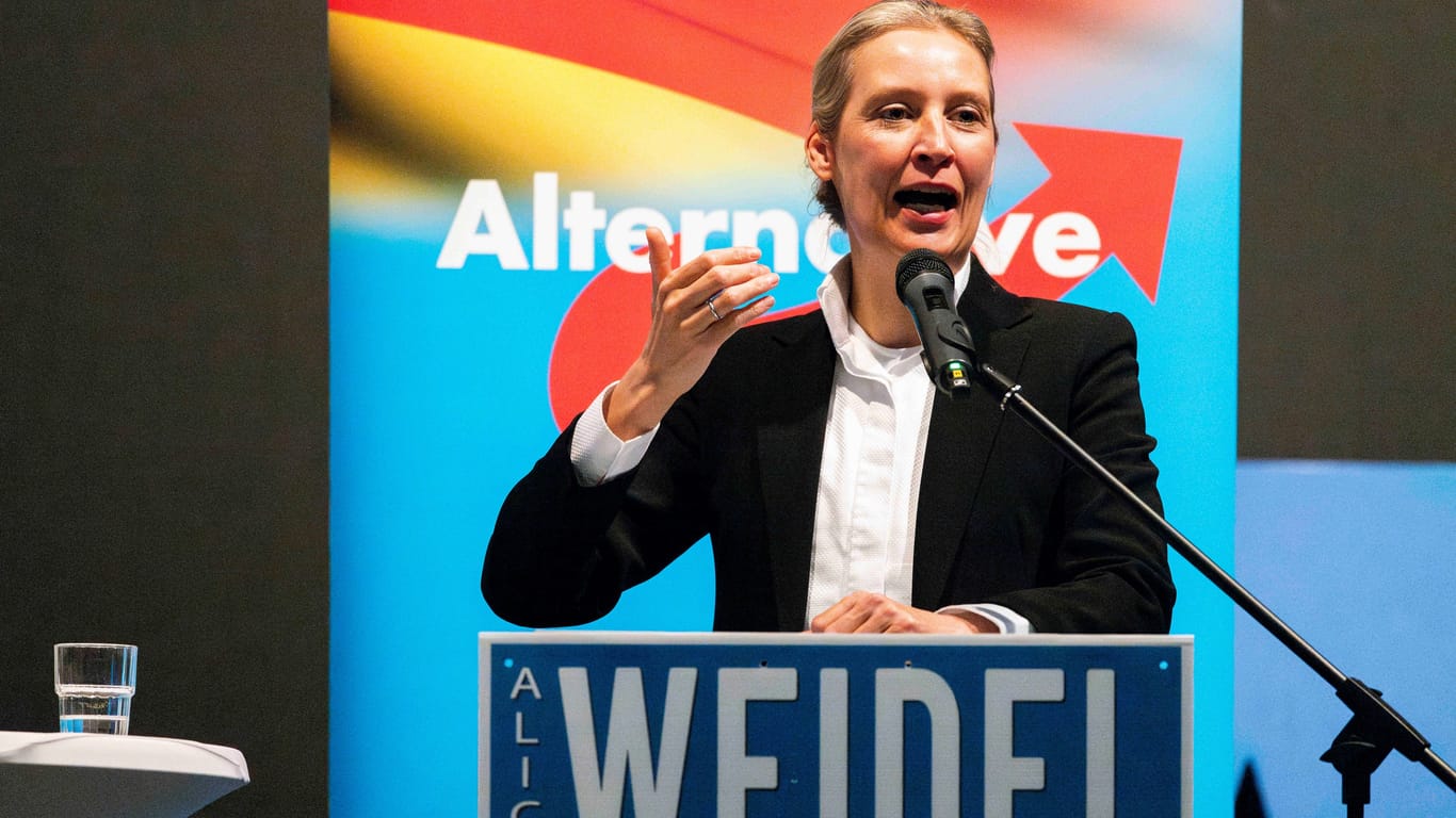 Alice Weidel bei einer AfD-Veranstaltung in Baden-Württemberg.