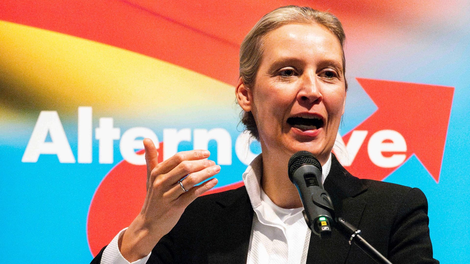 Alice Weidel bei einer AfD-Veranstaltung in Baden-Württemberg.