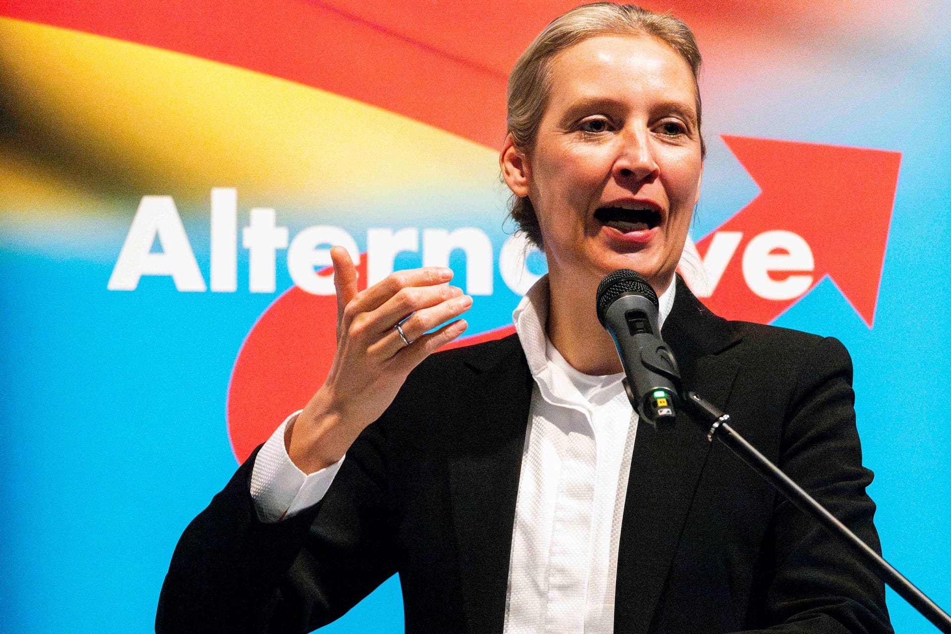 Alice Weidel bei einer AfD-Veranstaltung in Baden-Württemberg.