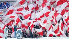 Fanhilfen vor Fußball-EM: Stadien sicher wie nie
