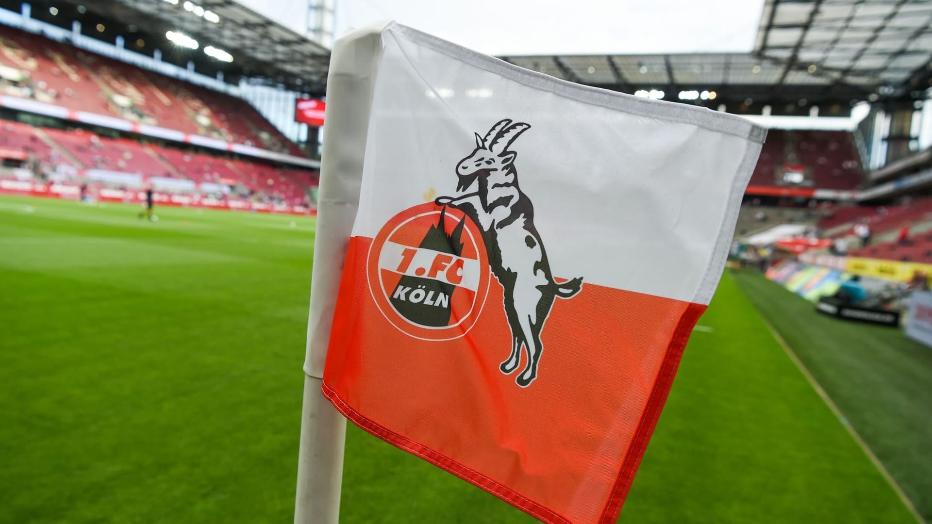 1. FC Köln 1. FC Köln