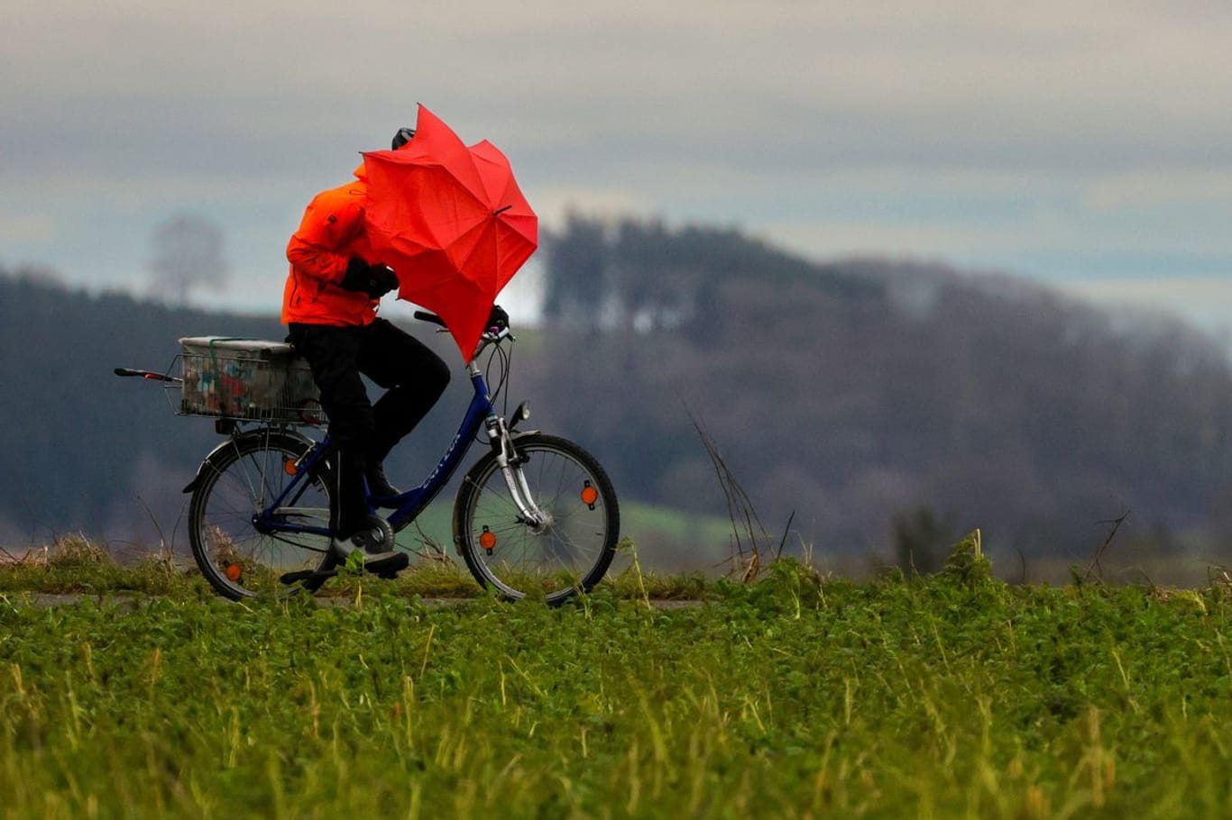 Ein Radfahrer ist bei Regen und Sturm mit einem Regenschirm unterwegs (Archivbild): In Deutschland wird es stürmisch.