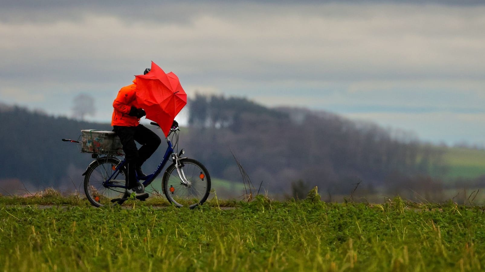 Ein Radfahrer ist bei Regen und Sturm mit einem Regenschirm unterwegs (Archivbild): In Deutschland wird es stürmisch.