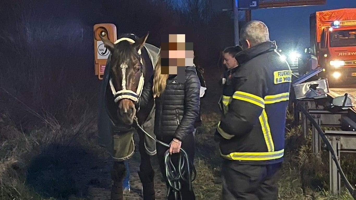 Pferd und Halterin mit Einsatzkräften hinter der Leitplanke: Das unruhige Ross stieg schließlich wieder in einen anderen Transporter.