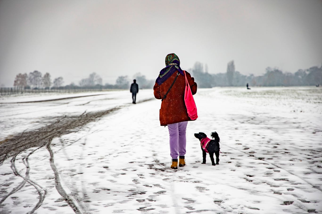 Spaziergänger im Winter auf dem Tempelhofer Feld (Archivfoto): Entstehen hier nun bald doch Wohnungen?