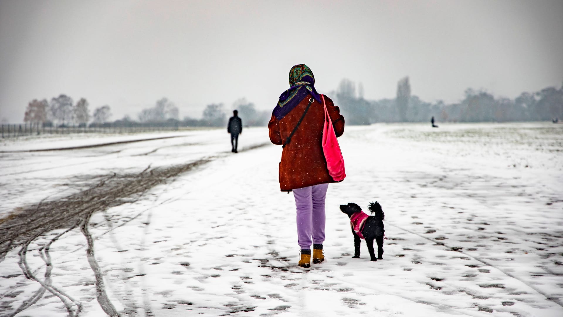 Spaziergänger im Winter auf dem Tempelhofer Feld (Archivfoto): Entstehen hier nun bald doch Wohnungen? Spaziergänger im Winter auf dem Tempelhofer Feld (Archivfoto): Entstehen hier nun bald doch Wohnungen?