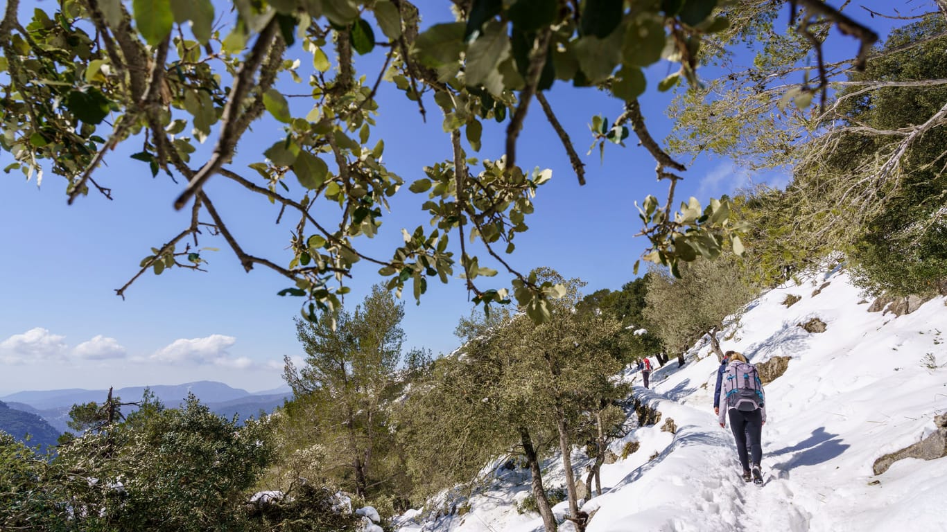 Wintereinbruch auf Mallorca (Symbolfoto): Der Wetterdienst sagt Sturm und Schnee voraus.