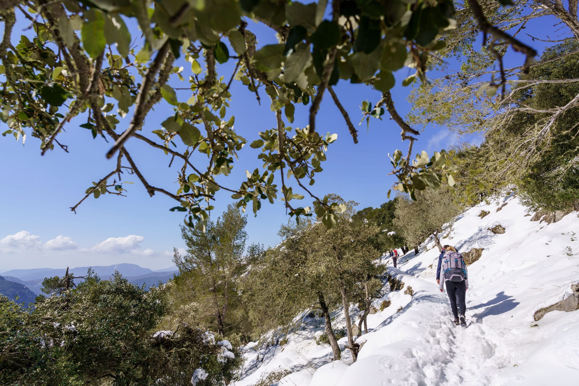 Wintereinbruch auf Mallorca (Symbolfoto): Der Wetterdienst sagt Sturm und Schnee voraus.