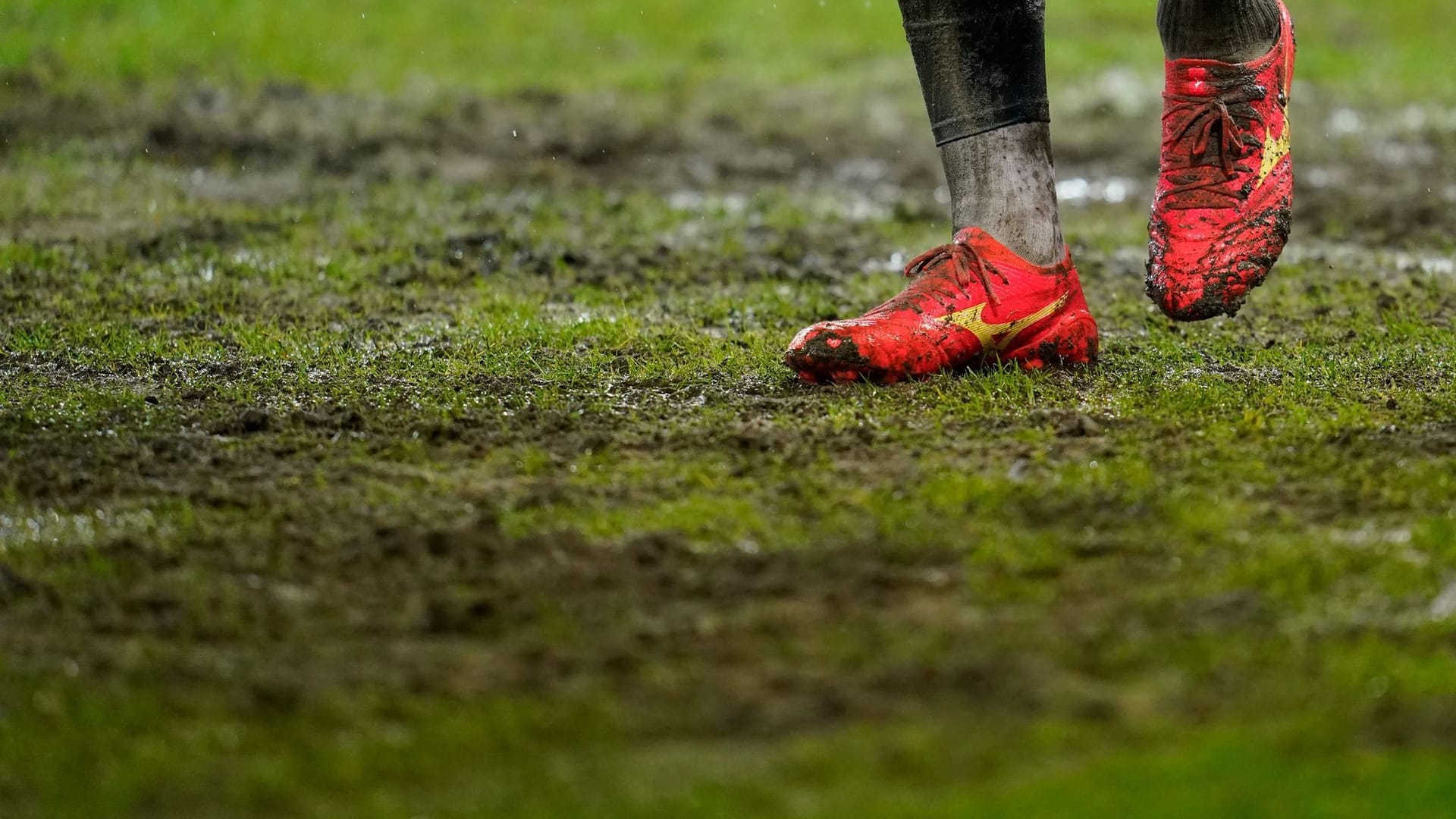 Rasen im Saarbrücker Ludwigsparkstadion