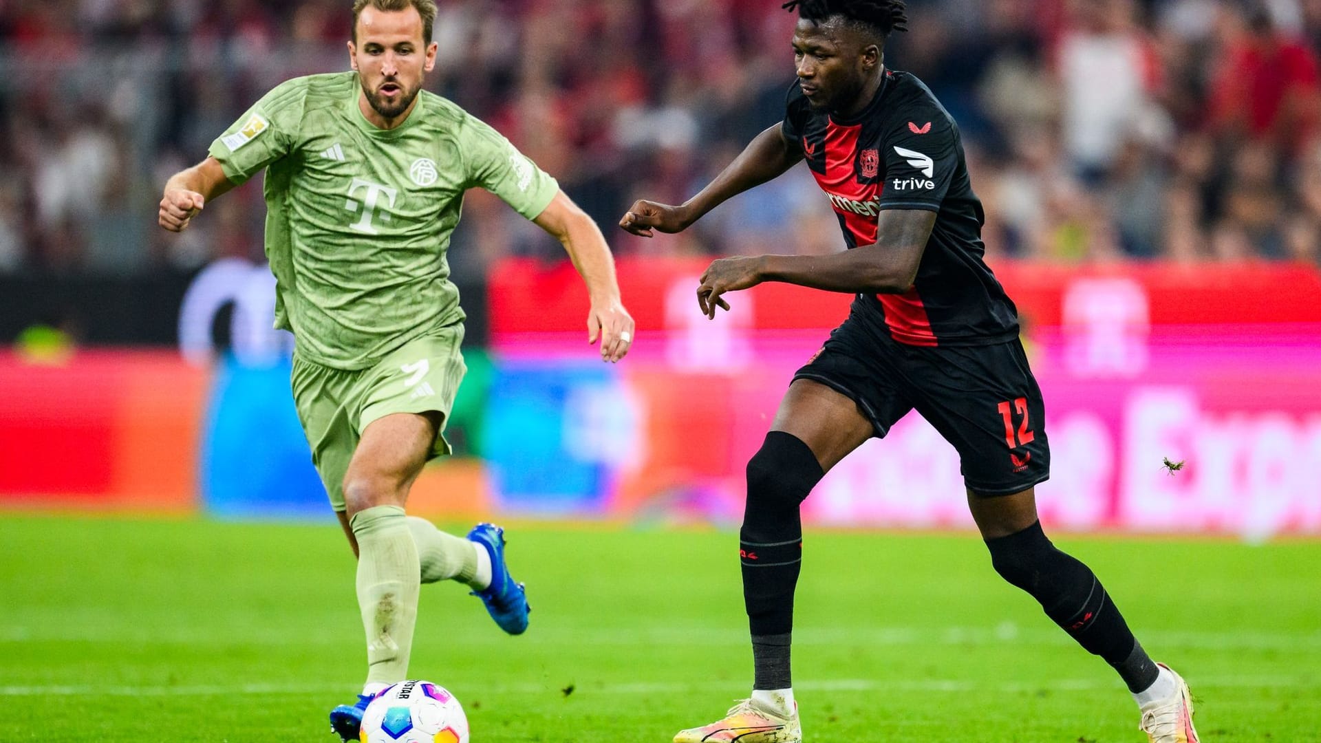 Bayern gegen Bayer