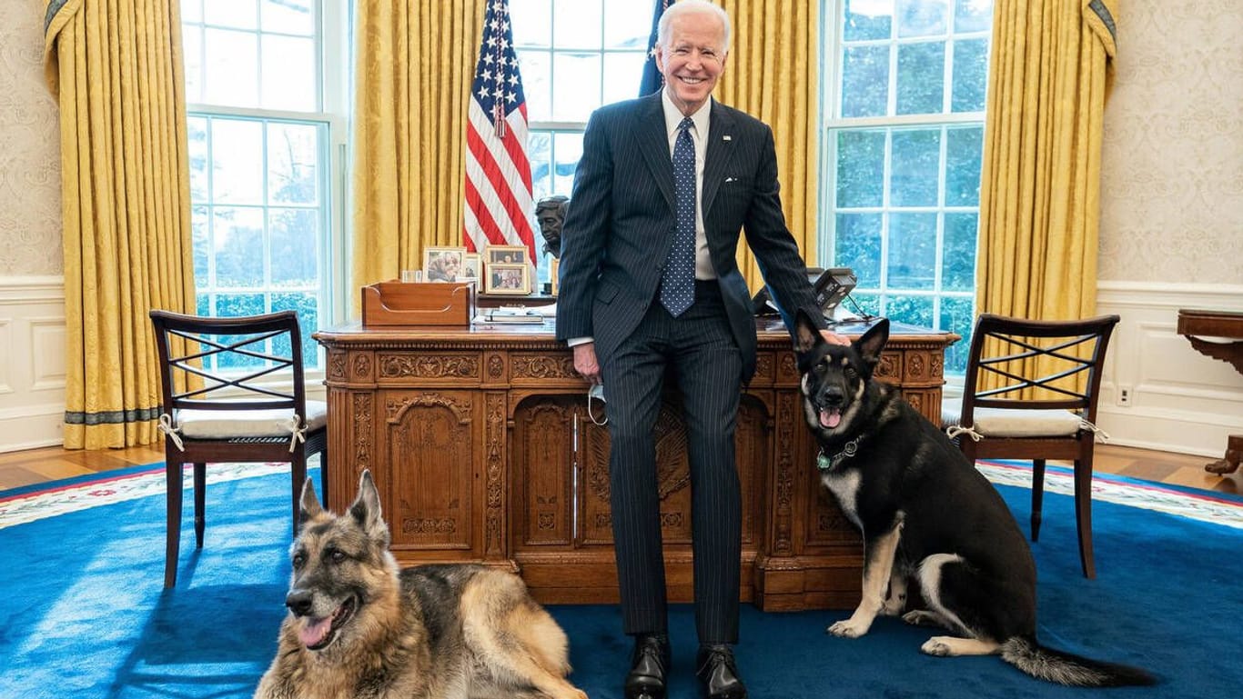 Joe Biden mit den beiden Schäferhunden Champ (Links) und Major (Rechts).