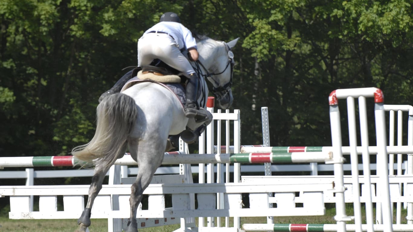 Pferd und Reiter im Sprung (Symbolbild): Der deutsche Reitverband hat eine Anzeige wegen Tierquälerei erstattet.