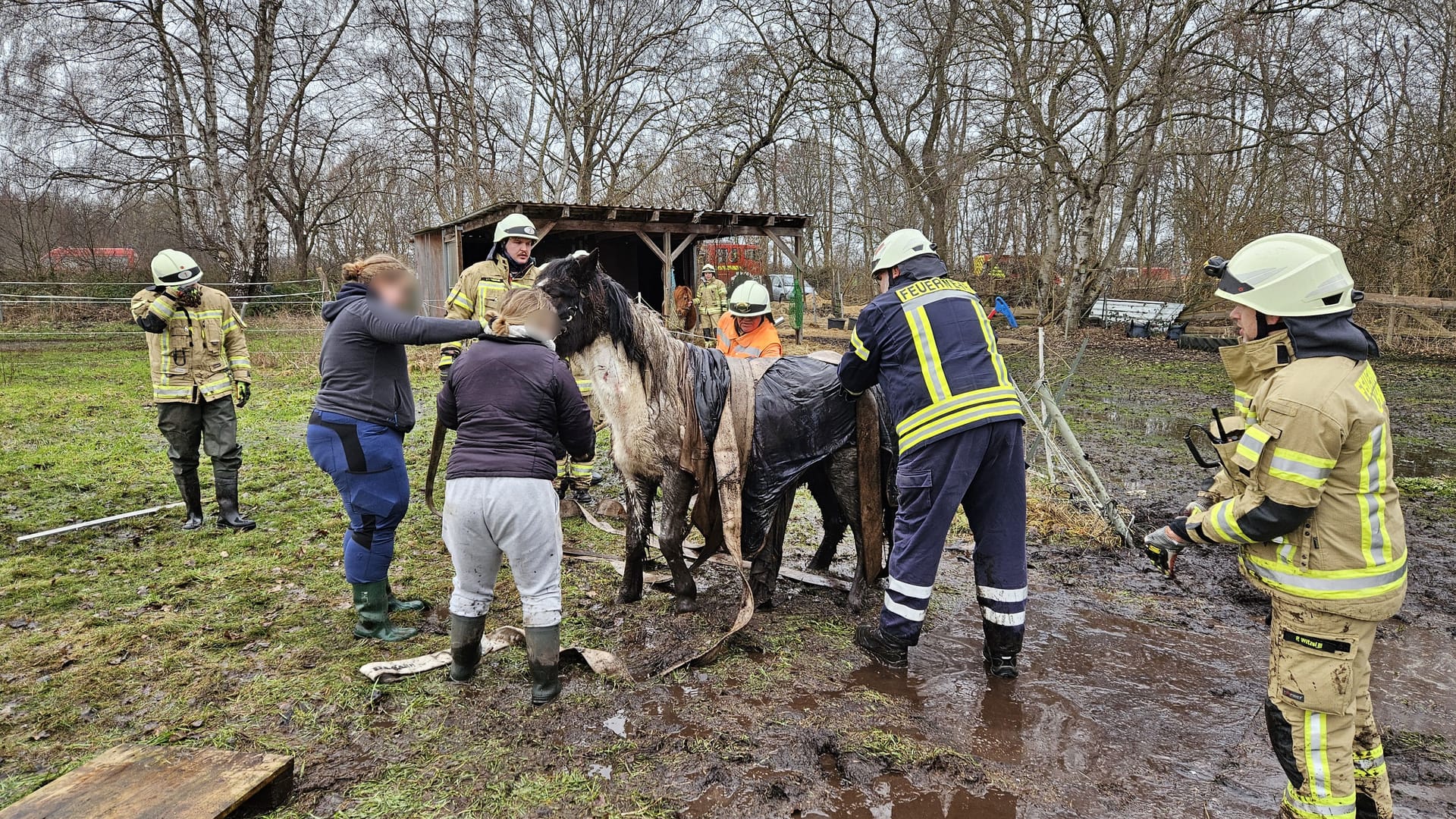 Das Pony konnte aus dem Schlamm gerettet werden.