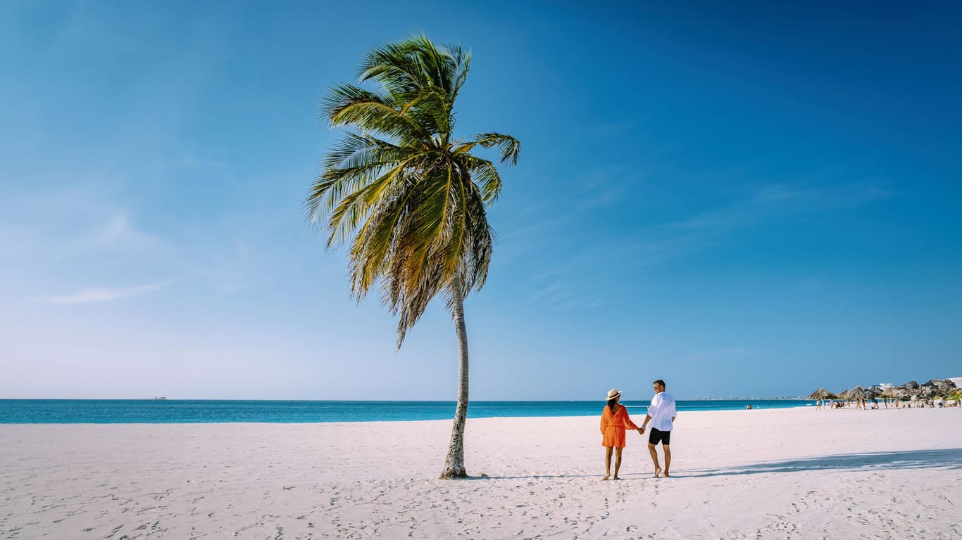 Palm Trees on the shoreline of Eagle Beach in Aruba, couple on beach with palm tree