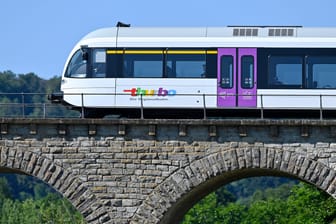 SBB Regionalzug Thurbo (Symbolbild): Alle Fahrgäste sollten auf einmal hüpfen.