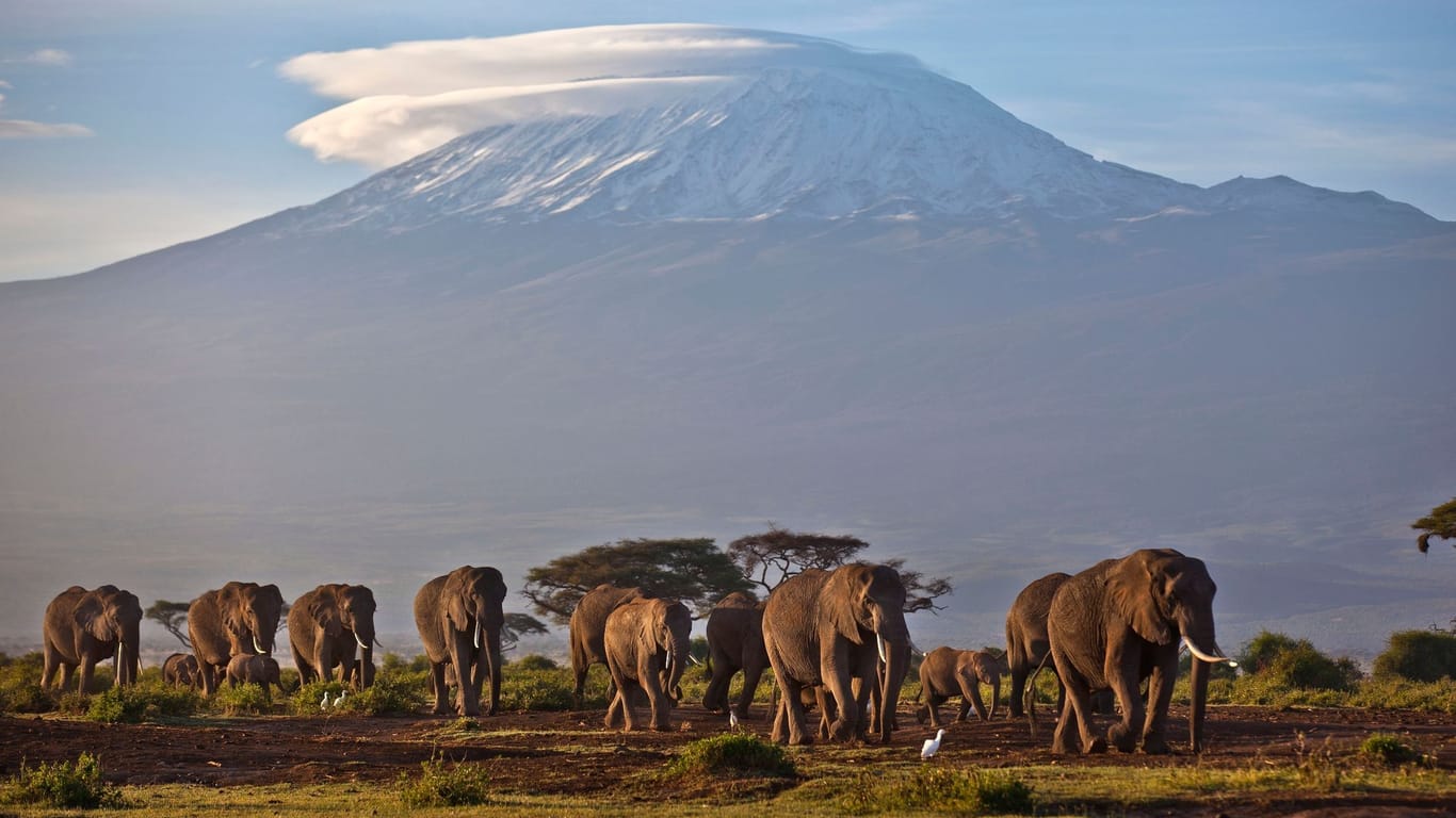 Amboseli-Nationalpark mit dem Kilimandscharo