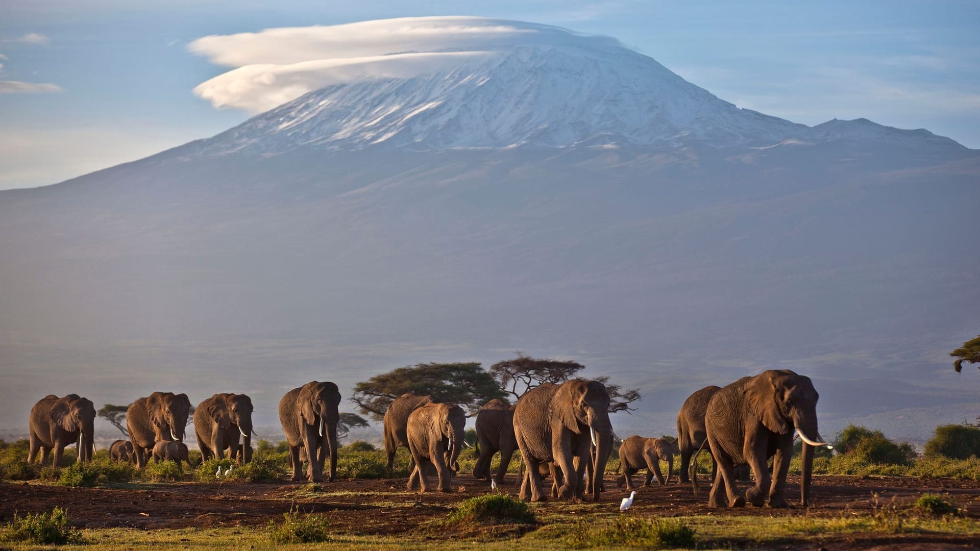 Amboseli-Nationalpark mit dem Kilimandscharo