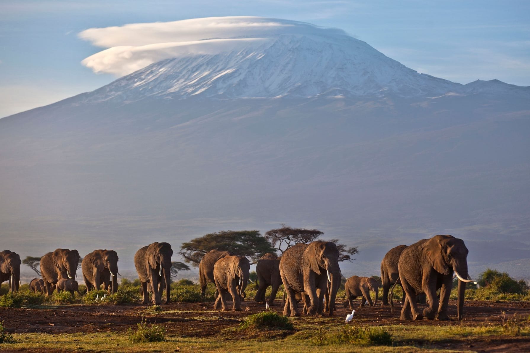 Amboseli-Nationalpark mit dem Kilimandscharo