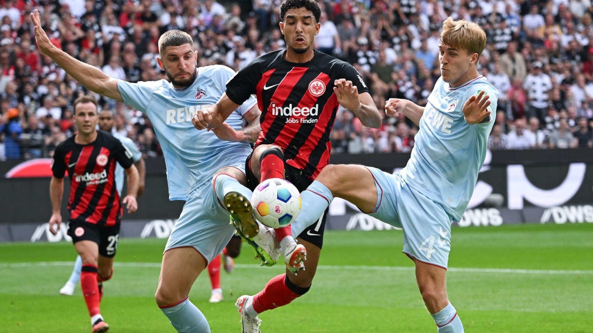 Eintracht Frankfurt - 1. FC Köln