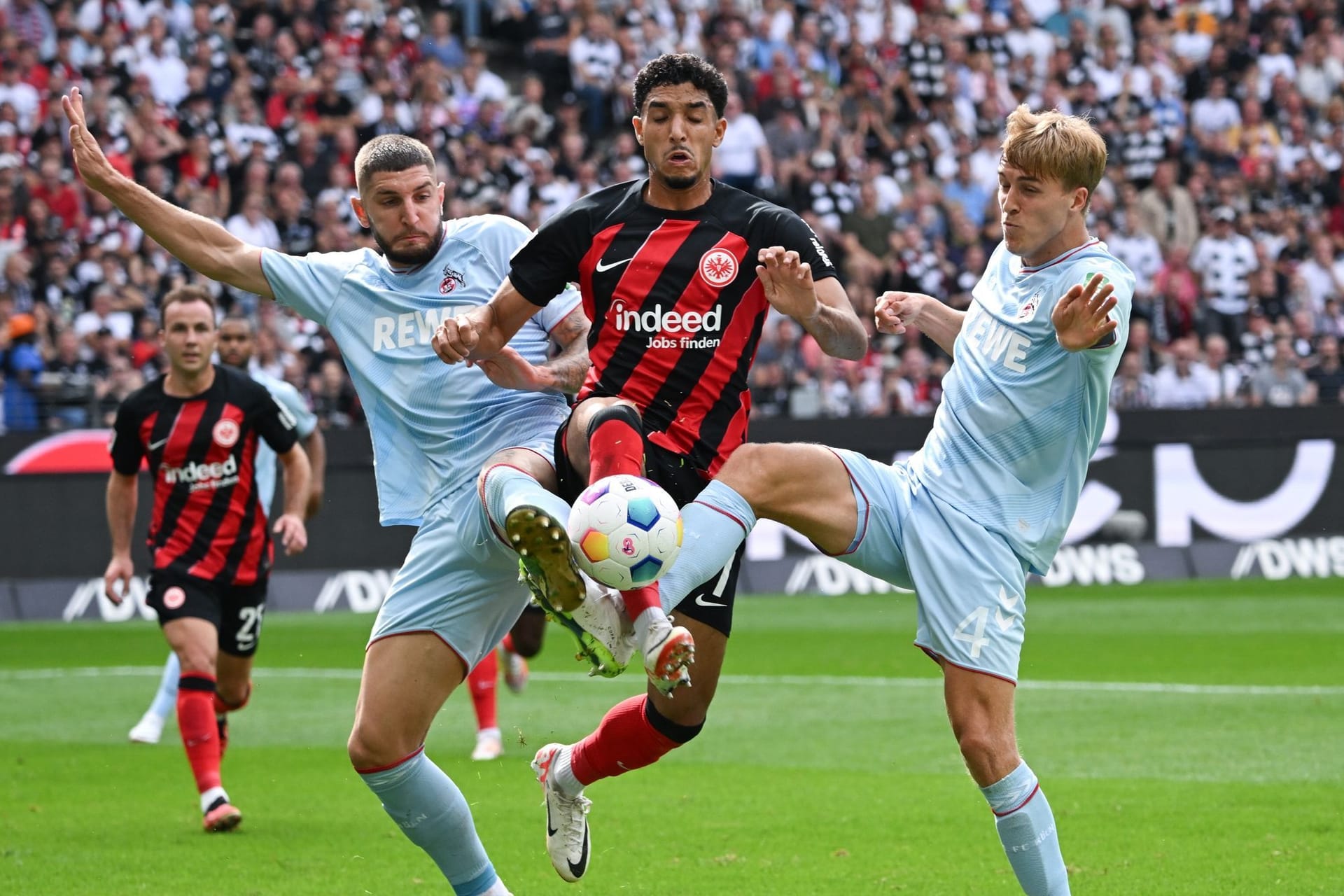 Eintracht Frankfurt - 1. FC Köln