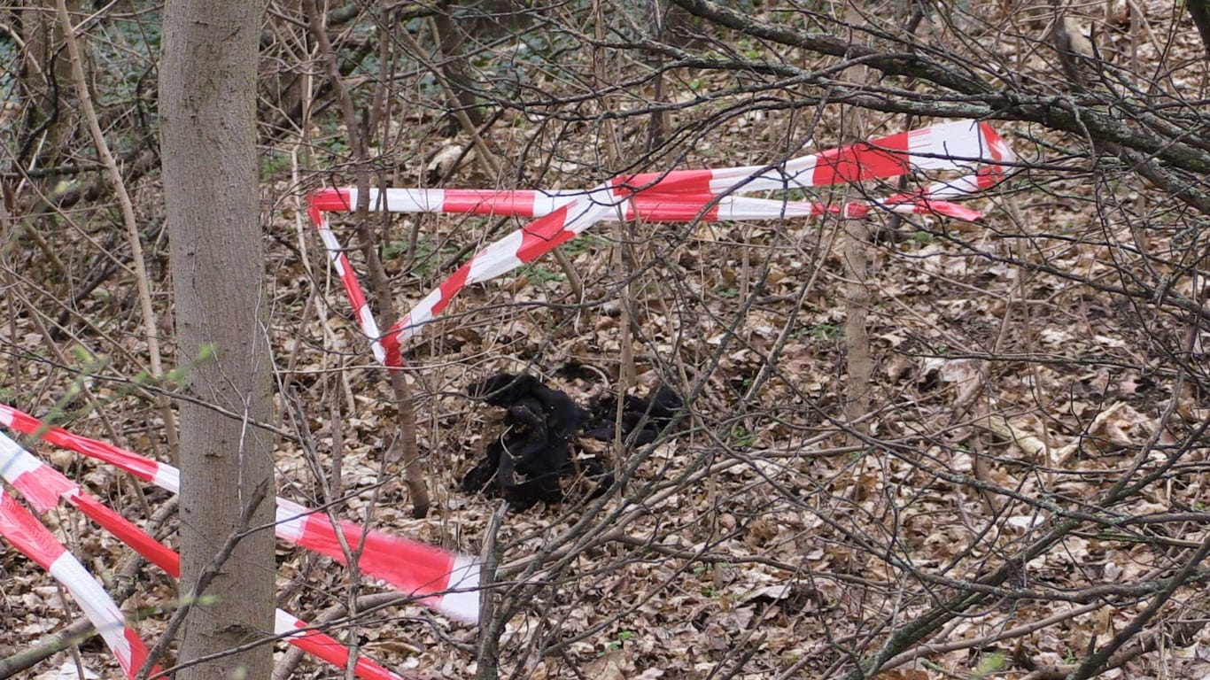 Mit Flatterband ist eine Fundstelle im Gebüsch abgesperrt: Im Berliner Volkspark Prenzlauer Berg ist am Dienstagvormittag der abgetrennte Oberschenkel eines Menschen entdeckt worden.