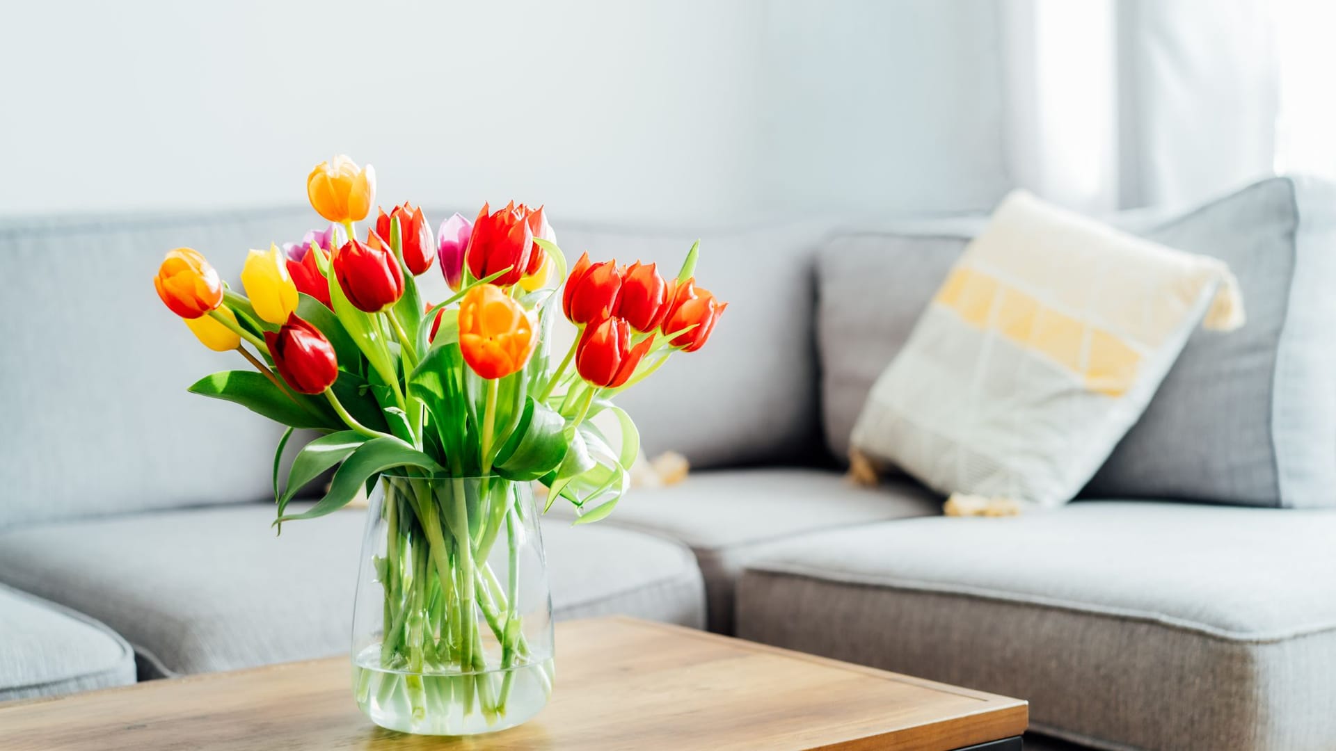 Schöne Deko: Stellen Sie die Vase nicht direkt an das Fenster, sondern lieber in die dunklere Raummitte.