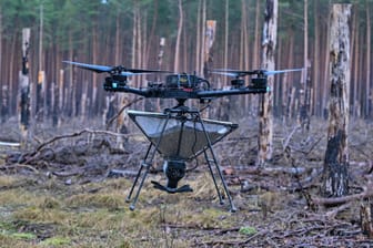 Drohne mit Baumsamen